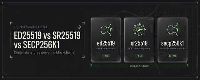 Illustration for «The Cryptography Behind Blockchain Signatures: ed25519, sr25519, and secp256k1 Explained»
